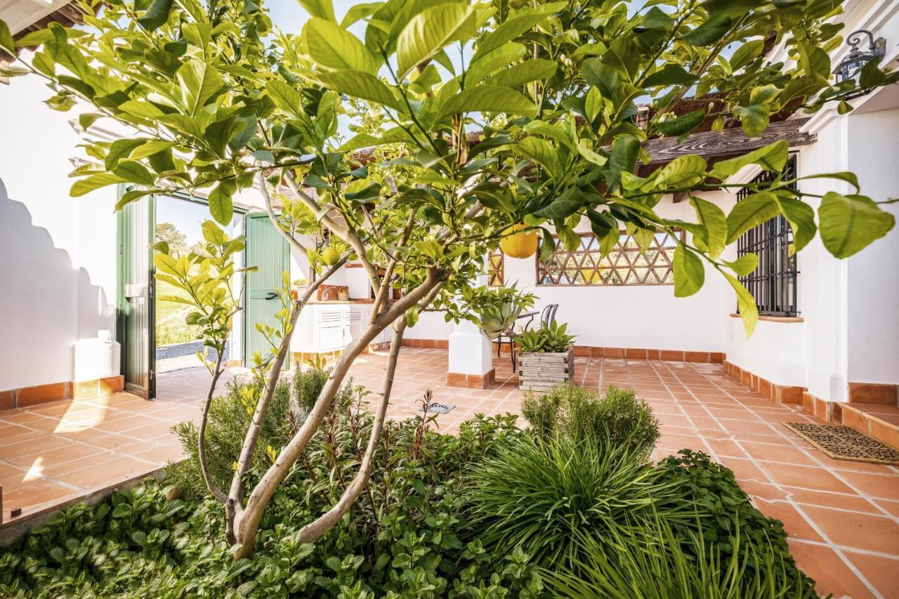 Casa Maurus By Rosas Cantares Pizarra Dış mekan fotoğraf